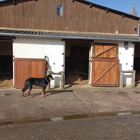 Le Gite Du Galou Sully  Exterior photo